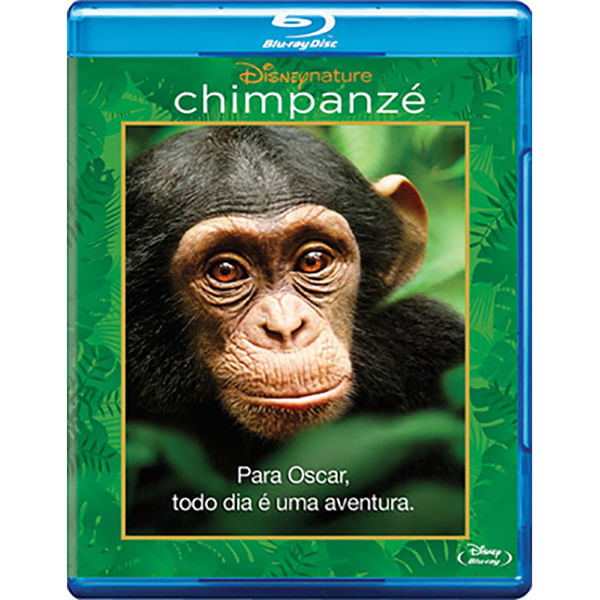 -c-h-chimpanz_bluray